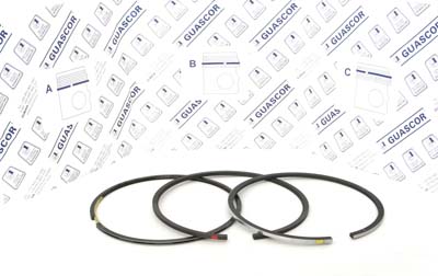 1915280 Guascor Piston Ring Set